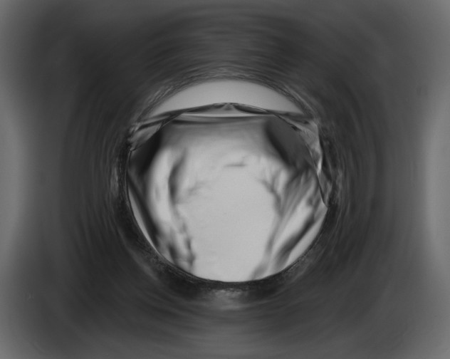 X0000082930158200703020113