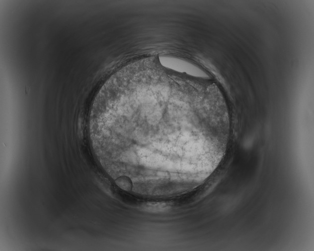 X0000082930161200703020113