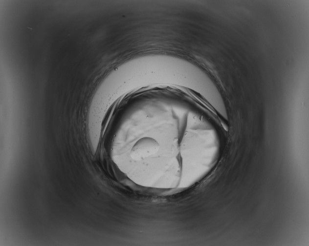 X0000082930162200703020113
