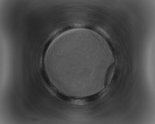 X0000082930163200703020113