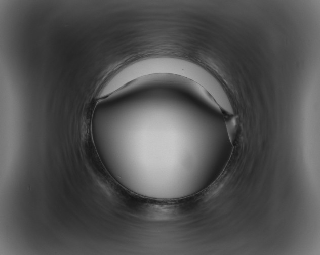 X0000082930164200703020113