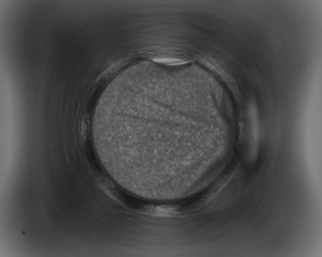 X0000082930165200703020113
