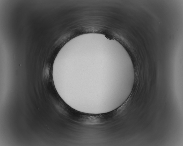 X0000082930166200703020113