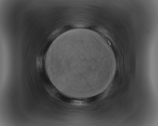 X0000082930167200703020113
