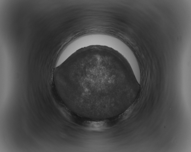 X0000082930168200703020113