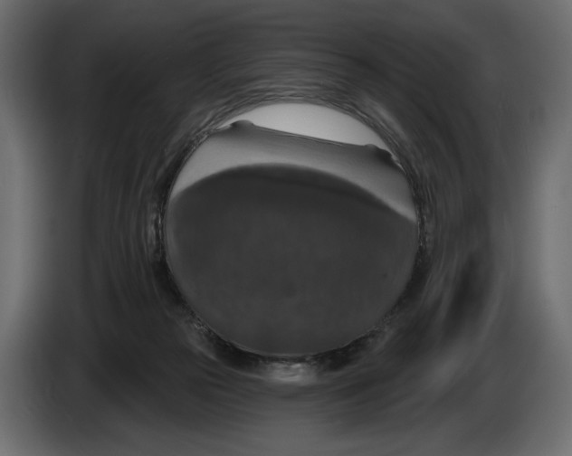 X0000082930169200703020113