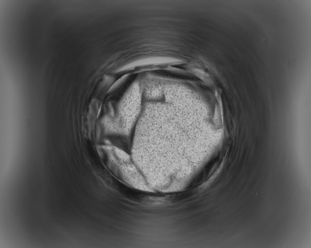 X0000082930170200703020113
