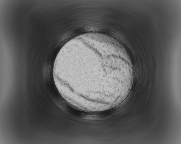 X0000082930171200703020113