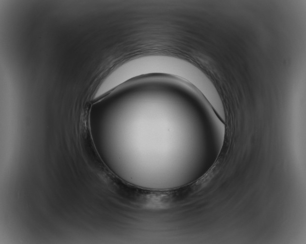 X0000082930172200703020113