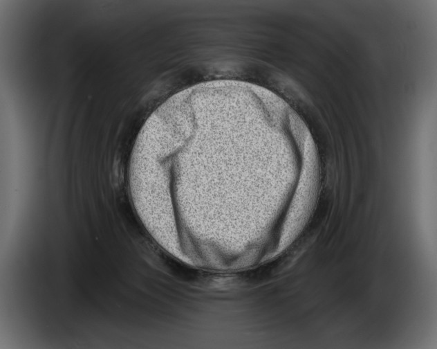 X0000082930173200703020113
