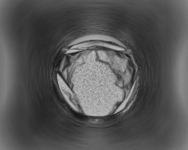 X0000082930174200703020113