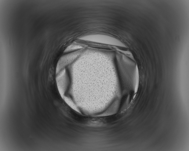X0000082930175200703020113