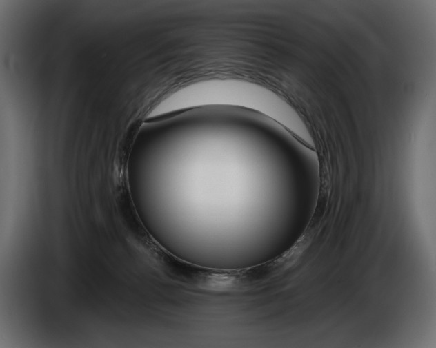 X0000082930176200703020113