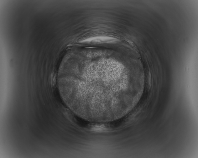 X0000082930177200703020113