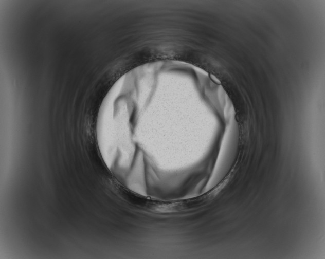 X0000082930178200703020113