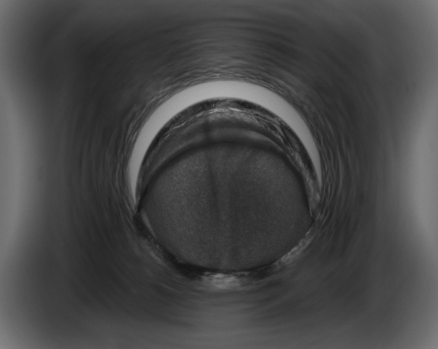 X0000082930180200703020113