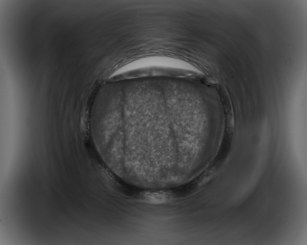 X0000082930181200703020113