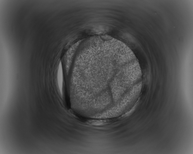 X0000082930182200703020113