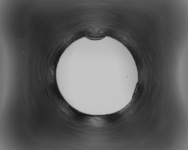 X0000082930183200703020113
