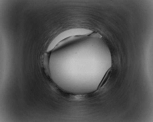 X0000082930184200703020113