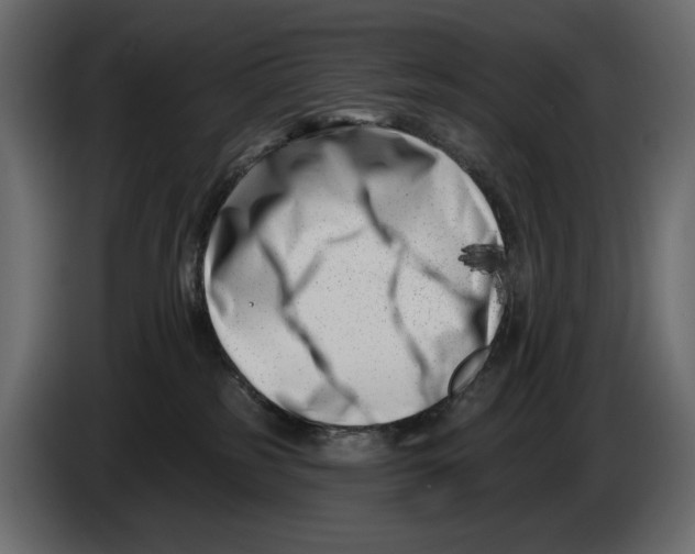 X0000082930185200703020113