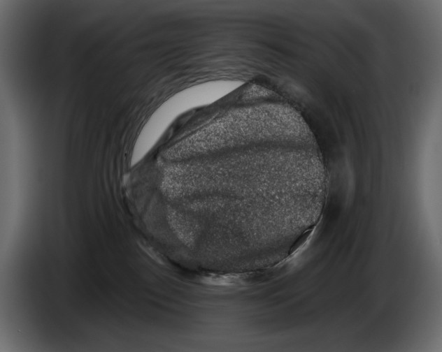 X0000082930186200703020113