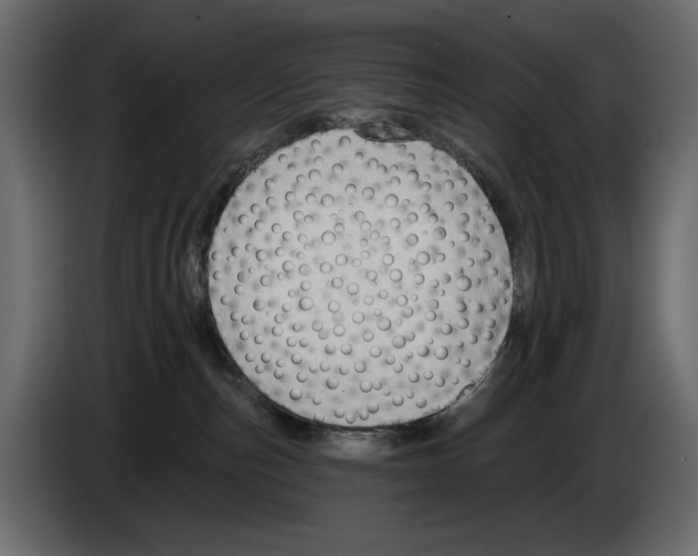 X0000082930187200703020113