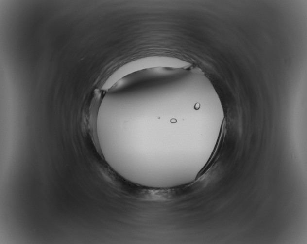 X0000082930188200703020113