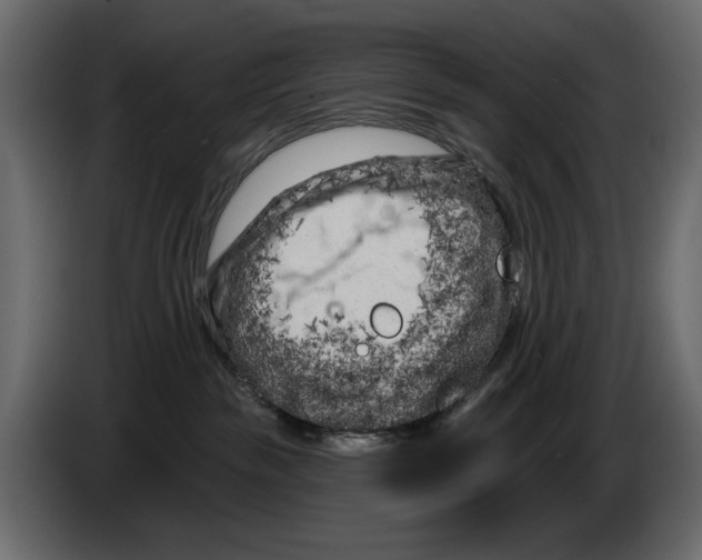 X0000082930189200703020113