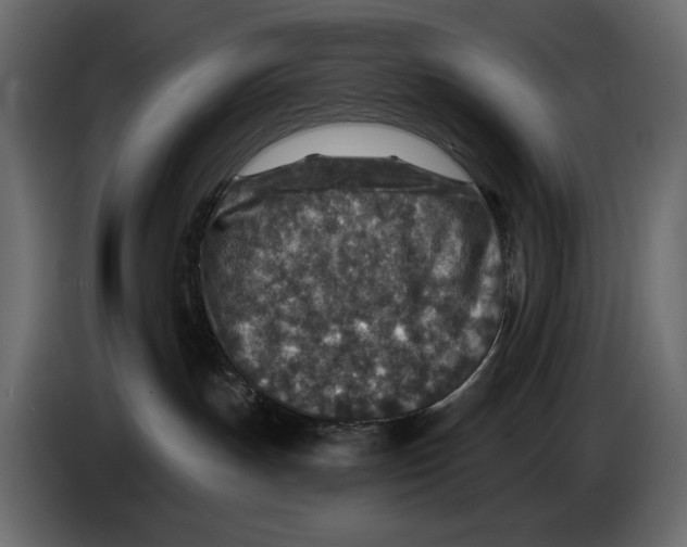 X0000082930191200703020113