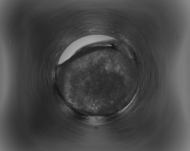 X0000082930192200703020113