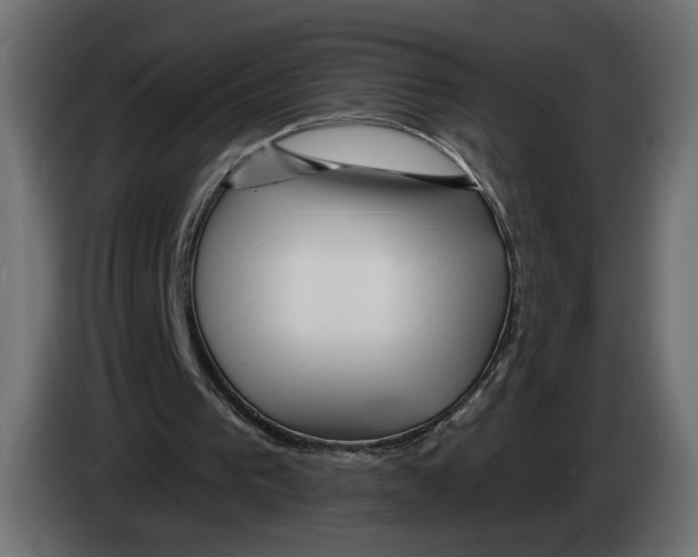 X0000082930193200703020113