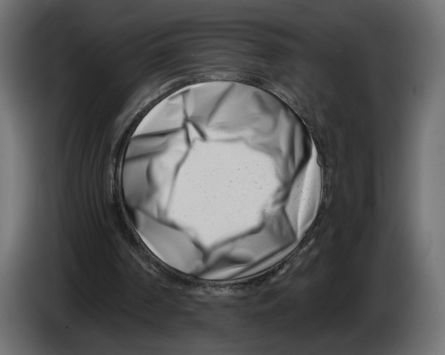 X0000082930194200703020113
