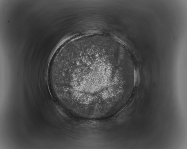 X0000082930195200703020113