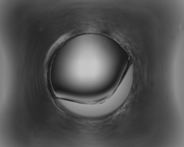X0000082930197200703020113