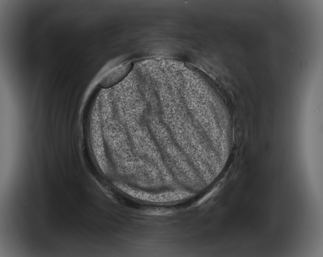X0000082930198200703020113