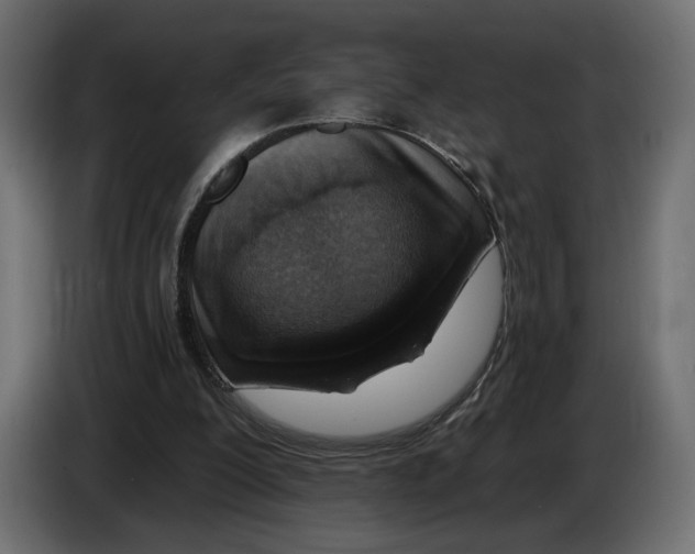 X0000082930200200703020113