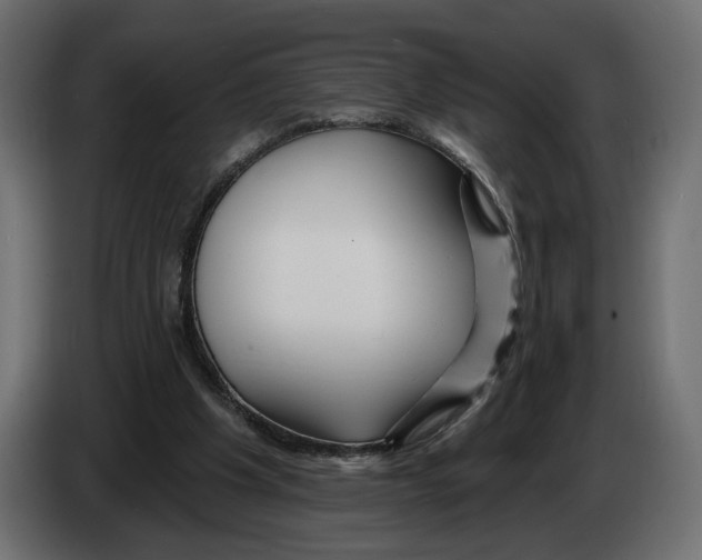 X0000082930201200703020113