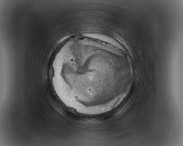 X0000082930203200703020113