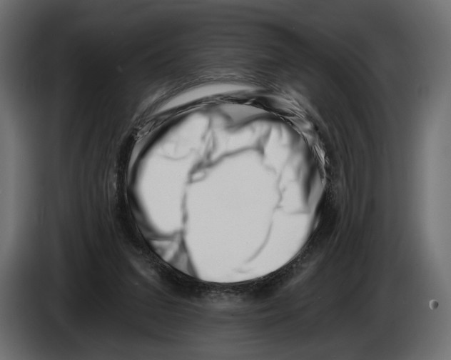 X0000082930207200703020112