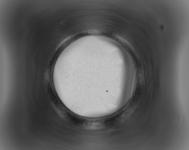 X0000082930208200703020112