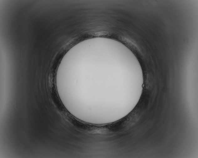 X0000082930210200703020112