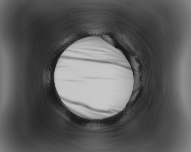 X0000082930211200703020112