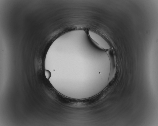 X0000082930212200703020112