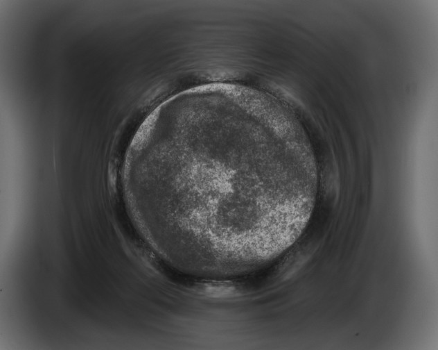X0000082930214200703020112