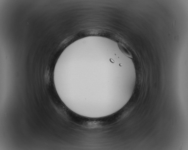 X0000082930216200703020112