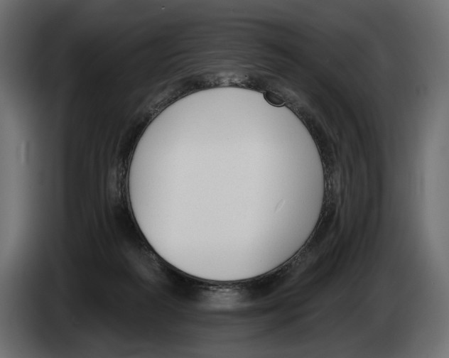 X0000082930218200703020112