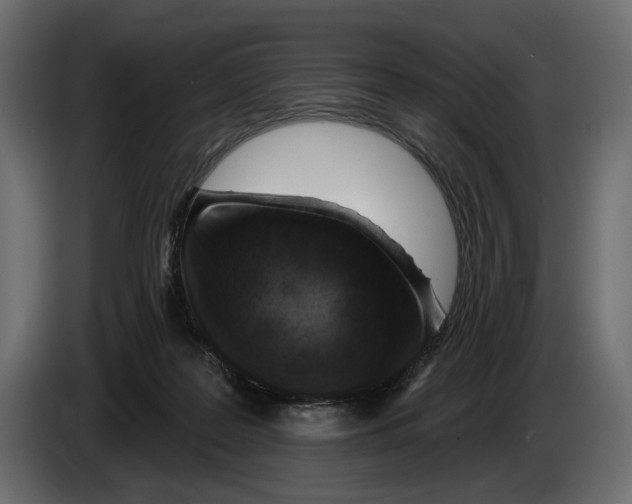 X0000082930219200703020112
