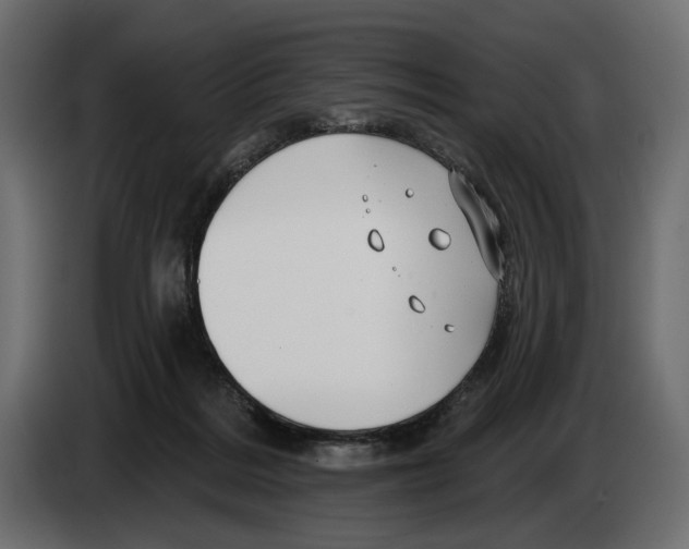 X0000082930220200703020112