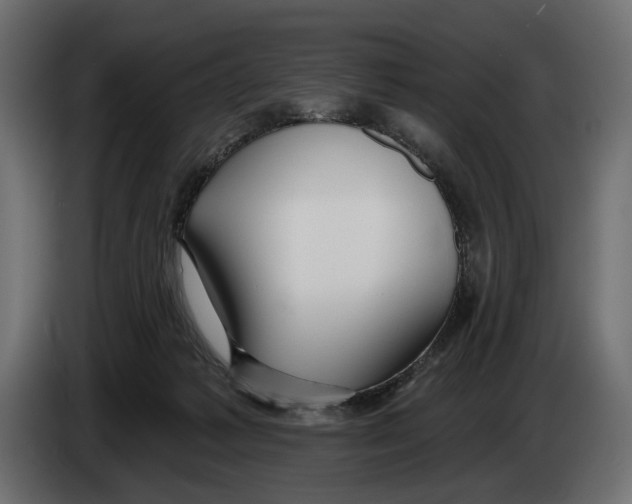 X0000082930221200703020112